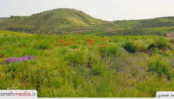 طبیعت سرسبز دامنه‌های کوهستان بوزقوش واقع در روستای سیه منصور