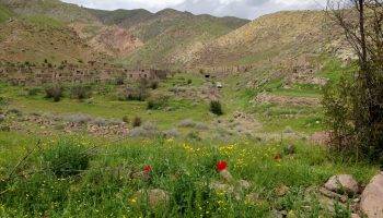 روستای سنجده (سینجه)